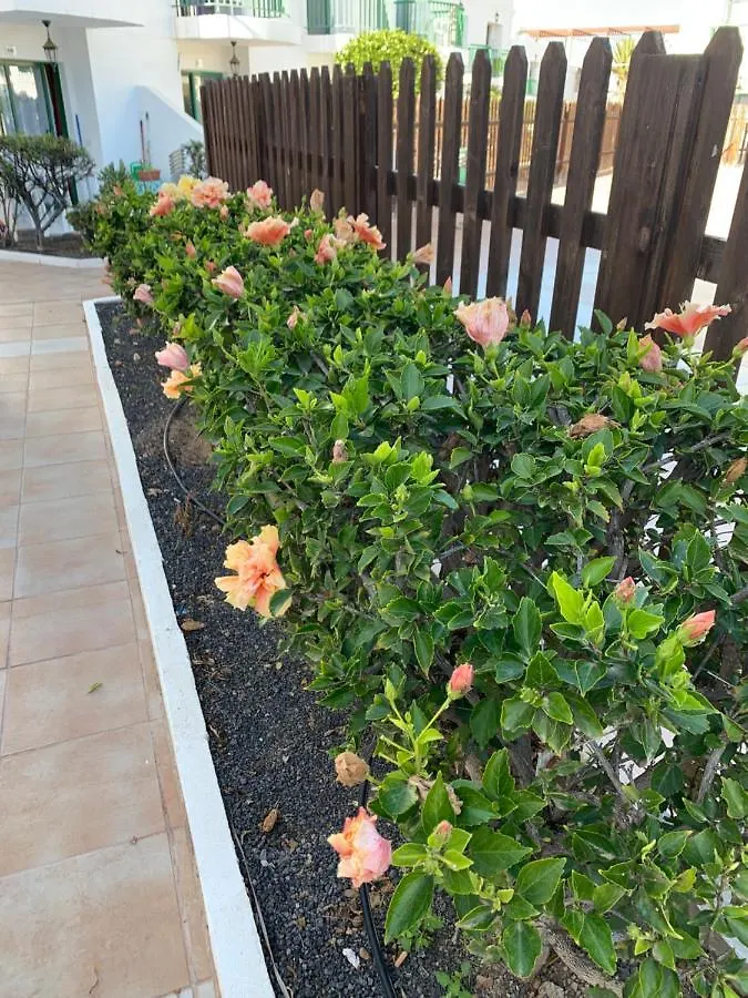 San Valentine Apartment Corralejo